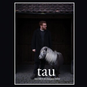 Tobias Dellit & die schweigende Mehrheit - LP / Vinyl - Tau